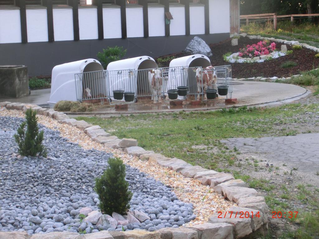 Bio Ferienhof Heiler Feldkirchen-Westerham Ngoại thất bức ảnh